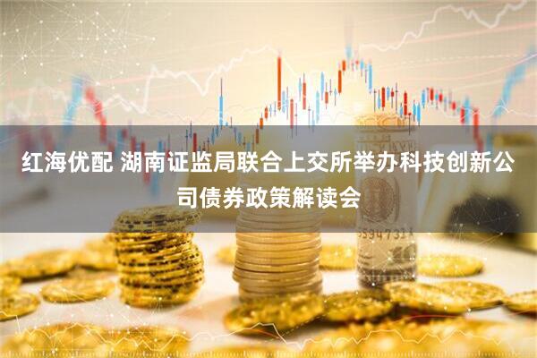 红海优配 湖南证监局联合上交所举办科技创新公司债券政策解读会