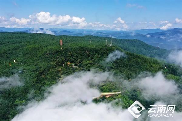 翻乐股 【早安云南·云游】武定狮子山：揽壮阔云海，享静谧山林