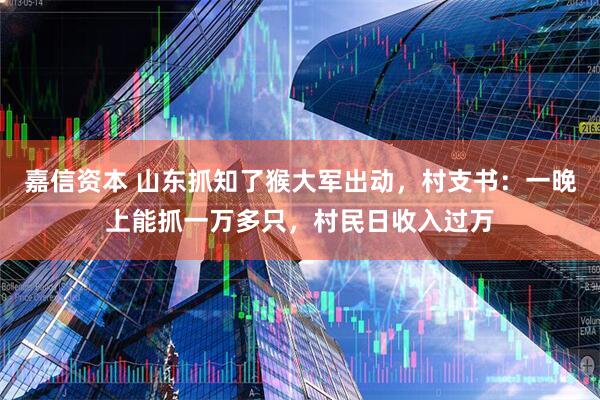 嘉信资本 山东抓知了猴大军出动，村支书：一晚上能抓一万多只，村民日收入过万