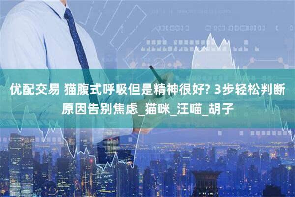 优配交易 猫腹式呼吸但是精神很好? 3步轻松判断原因告别焦虑_猫咪_汪喵_胡子
