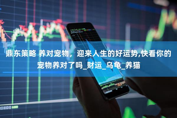 鼎东策略 养对宠物，迎来人生的好运势,快看你的宠物养对了吗_财运_乌龟_养猫
