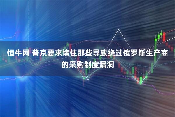 恒牛网 普京要求堵住那些导致绕过俄罗斯生产商的采购制度漏洞