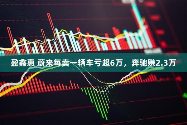 盈鑫惠 蔚来每卖一辆车亏超6万,奔驰赚2.3万