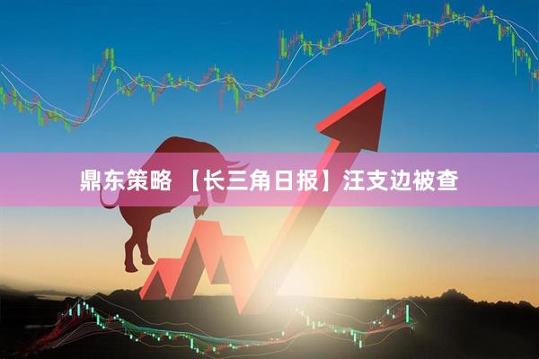 鼎东策略 【长三角日报】汪支边被查